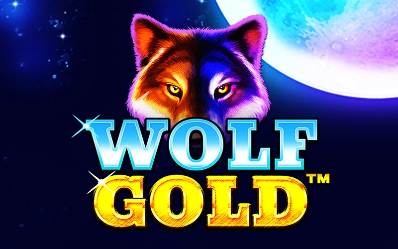 Wolf Gold un incontournable des machines à sous sur Melbet.